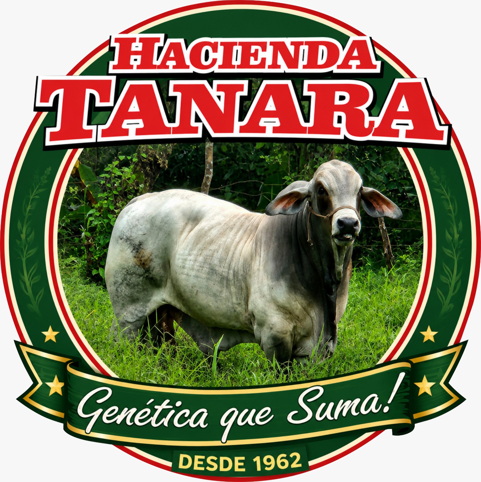 Hacienda Tanara